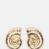 Seashell Shaped Earrings Gold