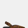 Shay Leopard