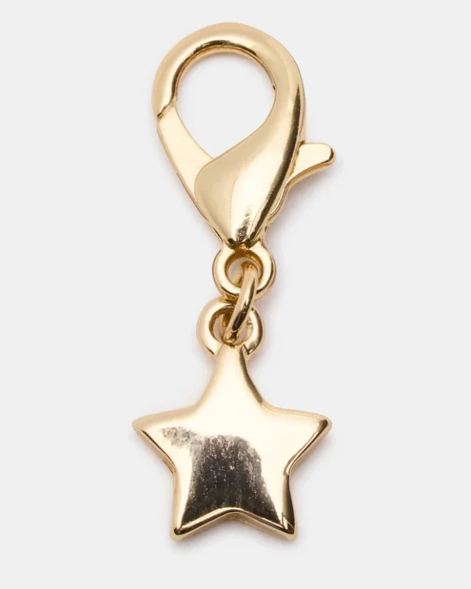 Shoe Laces and Charms Blue/Yellow